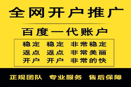 专业SEM服务公司案例分析报告